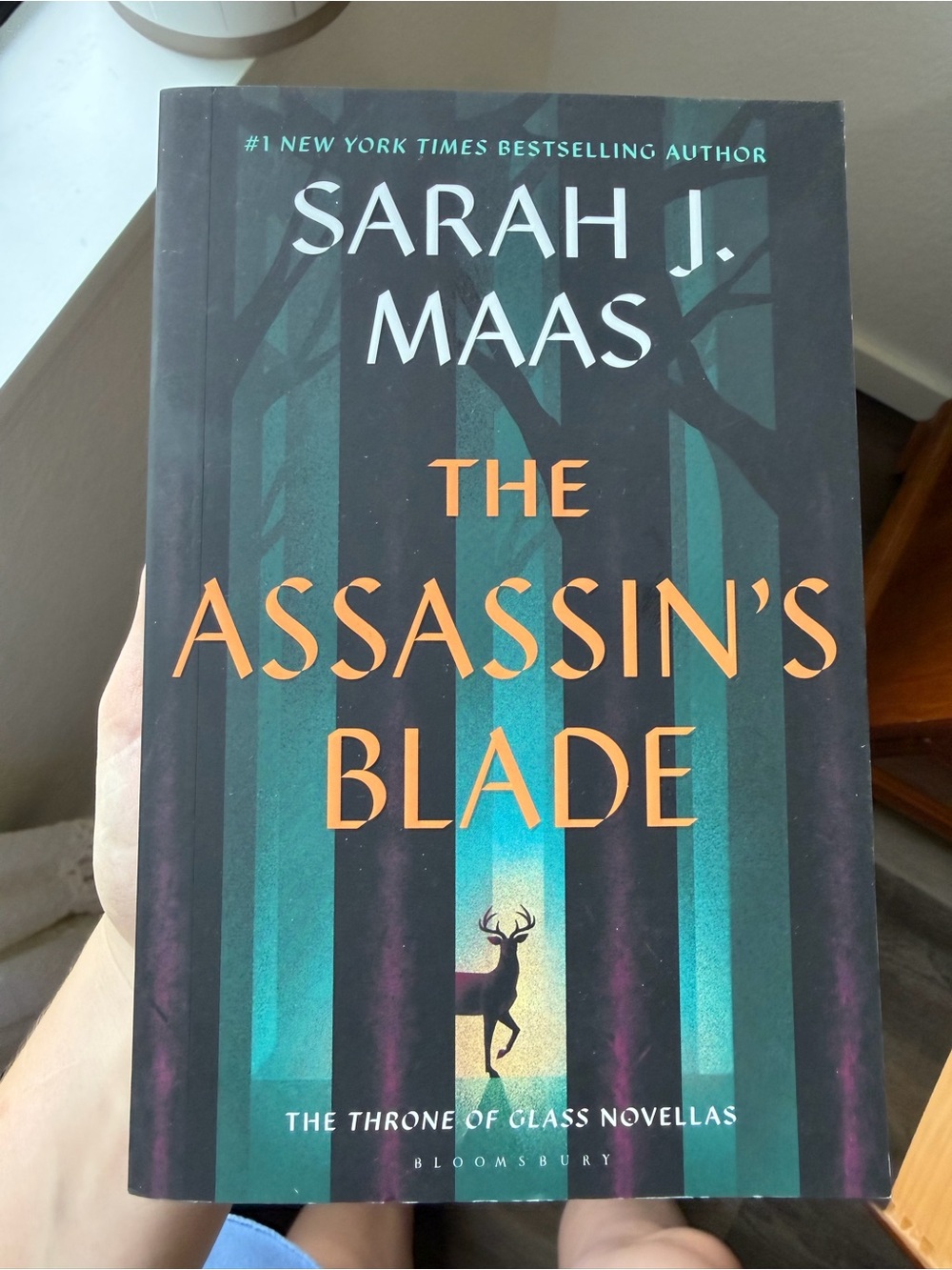 Sarah J. Maas "The Assassin's Blade" Paperback - Teal & Black Cover